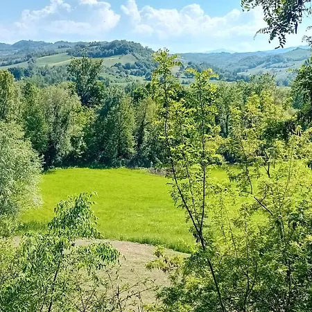 La Collina Dei Conigli - Immersi Nella Natura *