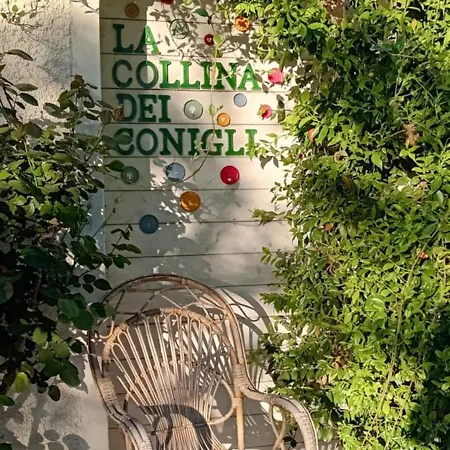 La Collina Dei Conigli - Immersi Nella Natura Castellarano
