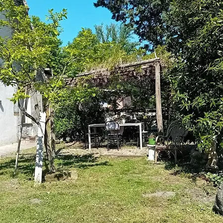 La Collina Dei Conigli - Immersi Nella Natura