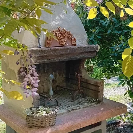 La Collina Dei Conigli - Immersi Nella Natura アパート Castellarano